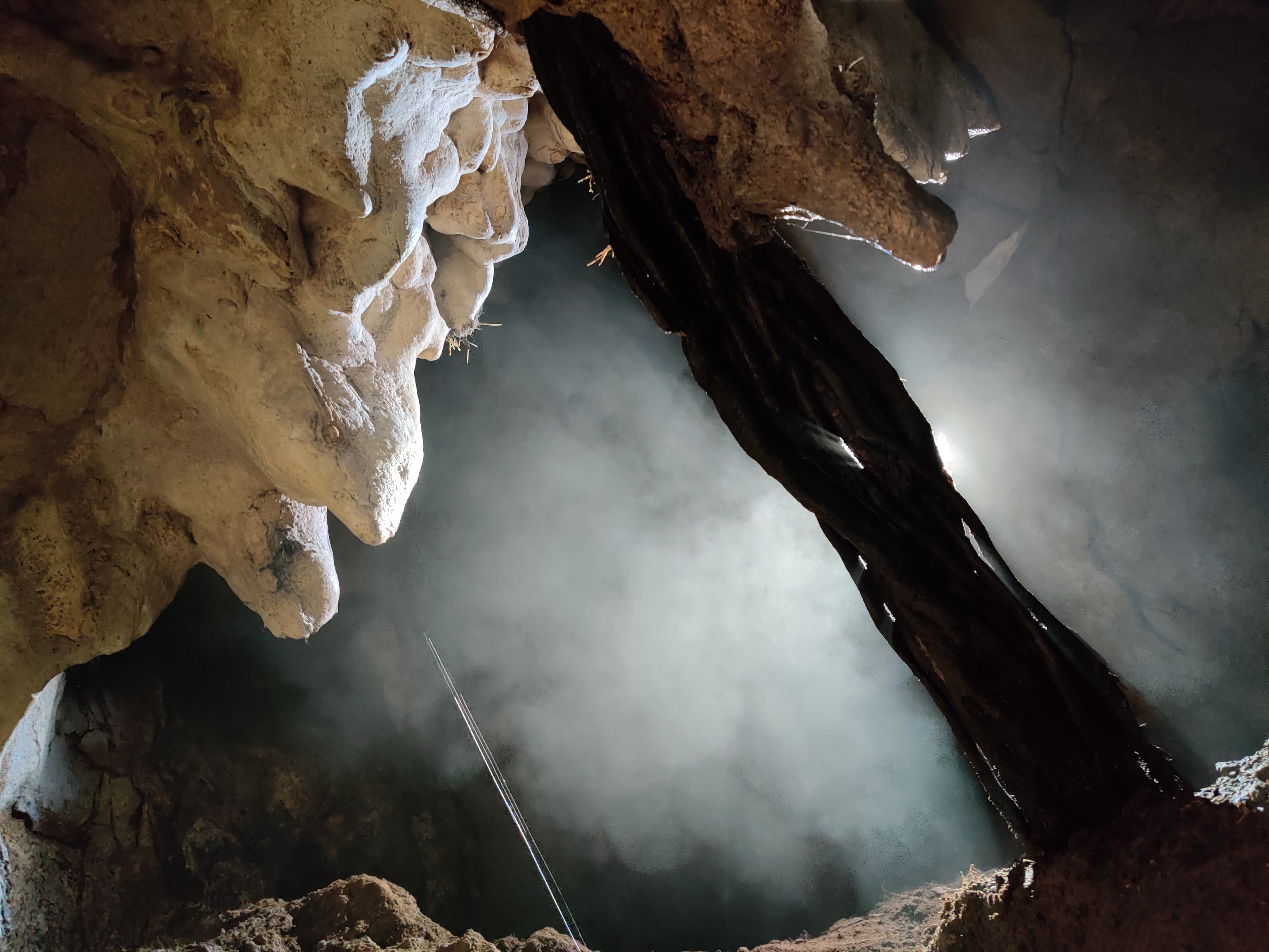 Peștera Sanela - Image 6